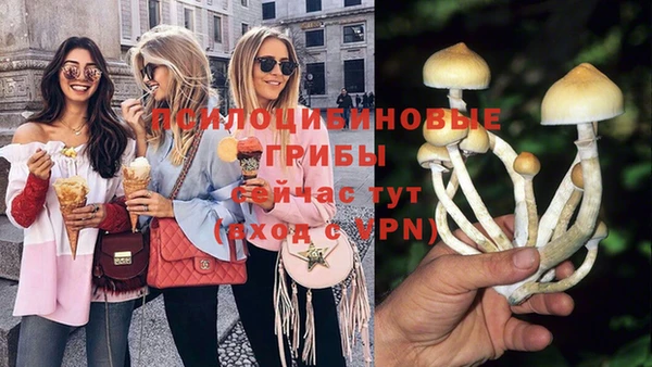меф Горняк