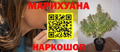 стафф Заводоуковск