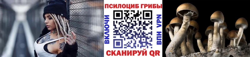 Псилоцибиновые грибы мухоморы  Медногорск 