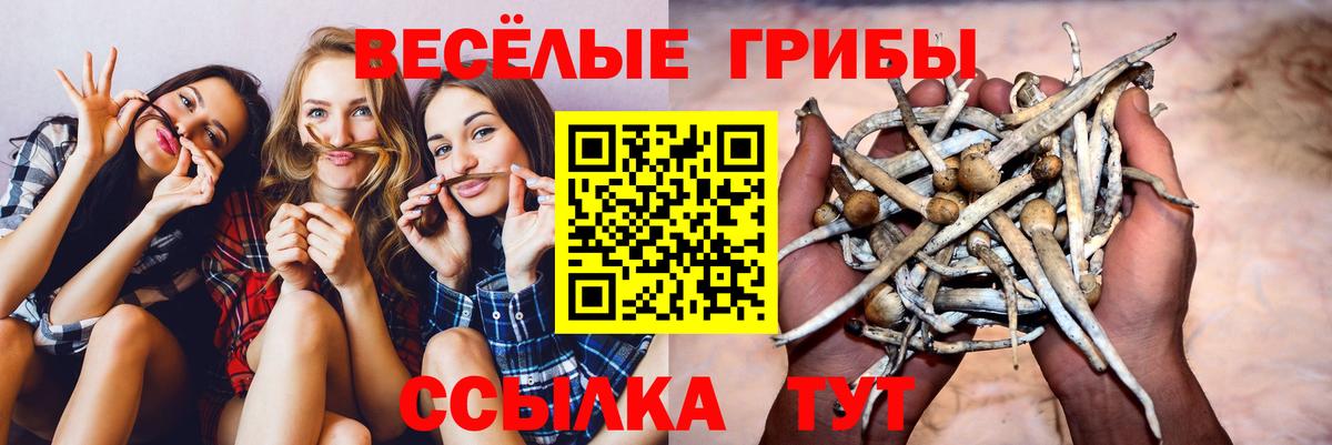 Галлюциногенные грибы Magic Shrooms Медногорск