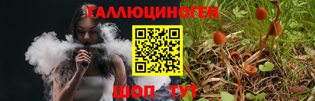 A PVP Медногорск