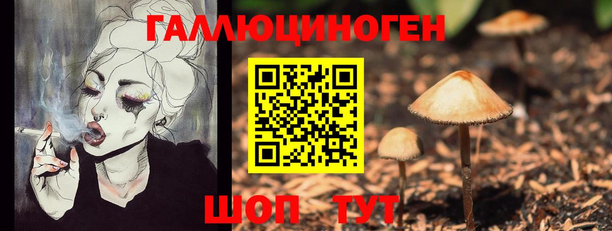 Медногорск  Псилоцибиновые грибы Psilocybine cubensis  Вход с VPN 